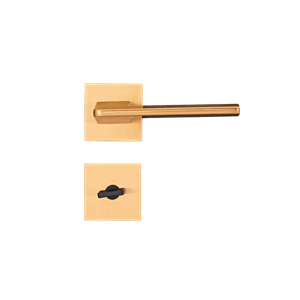 CE -21-